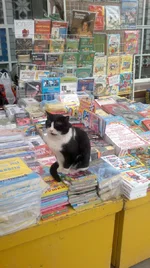 311220111166.webp