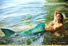 9955b11db40f3253c46e6.webp
