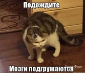 2bf4e6816c3865c628.jpg