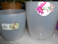 DSCN0161q.webp
