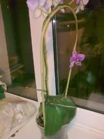31012012271.webp