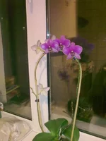 31012012272.webp