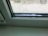 01022012098.webp