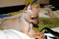 DSC_9973.webp