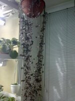 17092010540.jpg