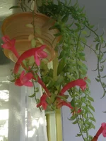 P3231509q.webp
