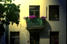 6.webp