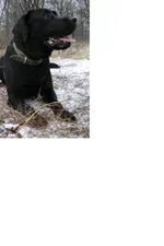  CIMG0274а.webp