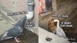 c31c368c0cf443d810a5.jpg