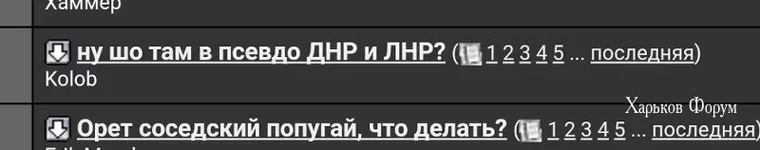dbbf16cbb30d33683246b0f.webp