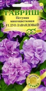 .webp