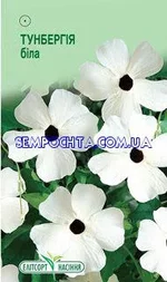 iтсорт насiння.webp