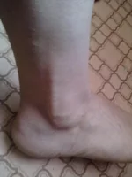 04022012380.jpg