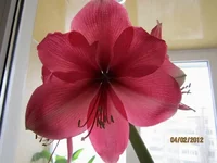 Resize of Resize of IMG_0246.webp