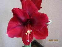 Resize of Resize of IMG_0242.webp
