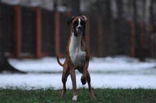 DSC_0038.JPG
