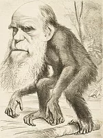 200px-Editorial_cartoon_depicting_Charles_Darwin_as_an_ape_(1871).jpg