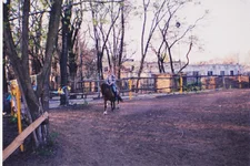 IMG_0005_NEW.jpg