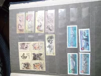 y_38e85055.webp