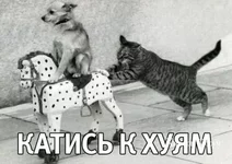 e4ea4eaf30e29ad3a97.jpg