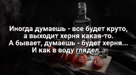 599352_original.jpg