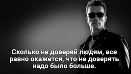 599294_original.jpg