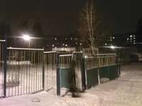 Photo-0056.webp