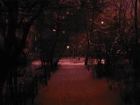Photo-0062.webp