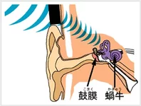 f-mimi-2 copy.webp