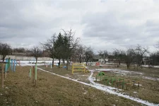 VT6N8205.webp