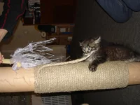 DSC06585.JPG