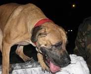 IMG_0357 Таня для Мадлен 1..webp