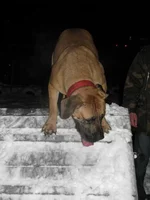 IMG_0358 Таня для Мадлен 2.webp