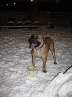 IMG_0371 Таня для Мадлен 5.webp