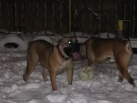 IMG_0376 Таня для Мадлен 6.webp