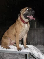 IMG_0386 Таня для Мадлен 7.webp