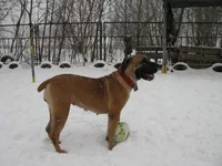 IMG_0399 Таня для Мадлен 10.webp