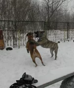 IMG_0401 Таня и Фэбиан для Мадлен.webp