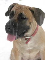 IMG_0409 Таня для Мадлен 9.webp