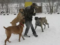 IMG_0419 Таня, Офелия, Фэбиан для Мадлен 2.webp