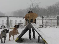 IMG_0424 Таня, Офелия, Фэбиан для мадлен.webp