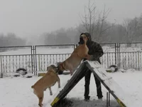 IMG_0426 Таня , Офелия для Мадлен.webp