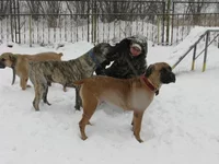 IMG_0437 Таня, Офелия, Фэбиан (все с мужем) для Мадлен.webp