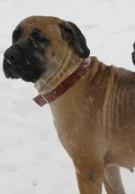 IMG_0438 Таня  для Мадлен 8.webp