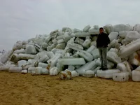 25012008219.webp