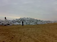 25012008221.jpg
