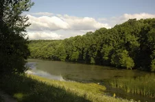 _DSC0178.webp