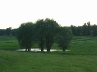 IMG_2778.webp