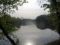 IMG_5480.webp