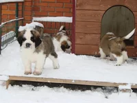 1месяц и 3 недели.webp